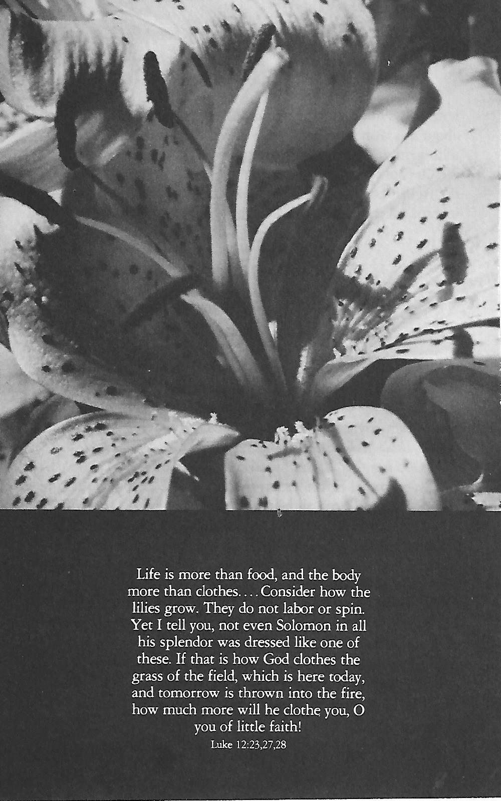 HOLY SPIRIT- ALLOW GOD TO CONTROL AND EMPOWER YOUR DAILY LIFE