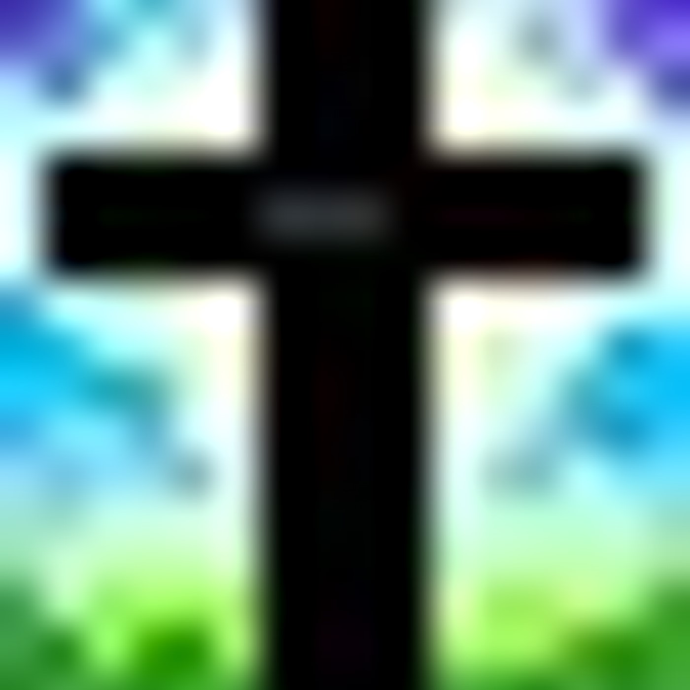 Stephen Ricker Home Page