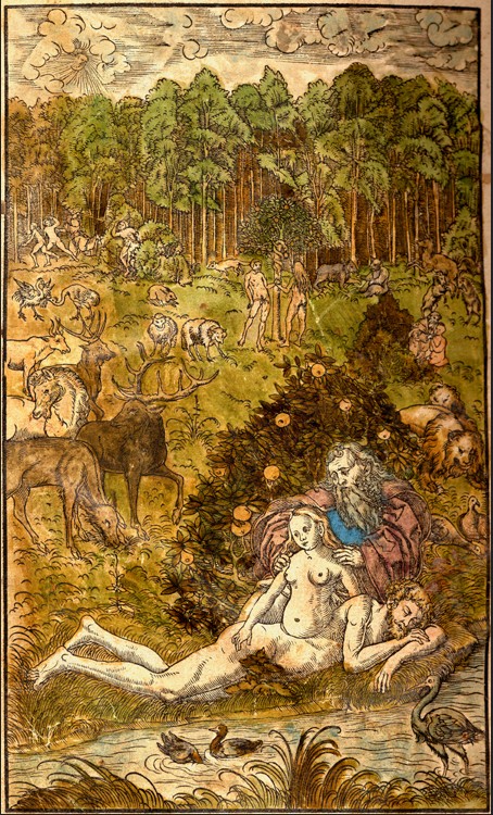 Creation, Temptation, and Fall