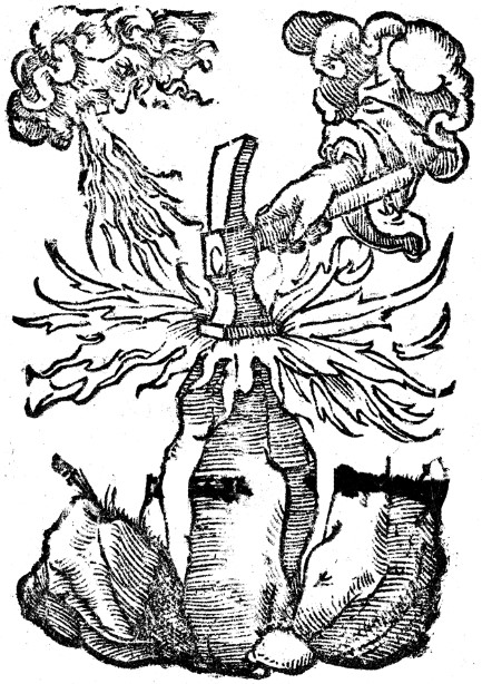 Printer's Device of Heinrich Petri