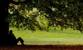 Man under a fig tree