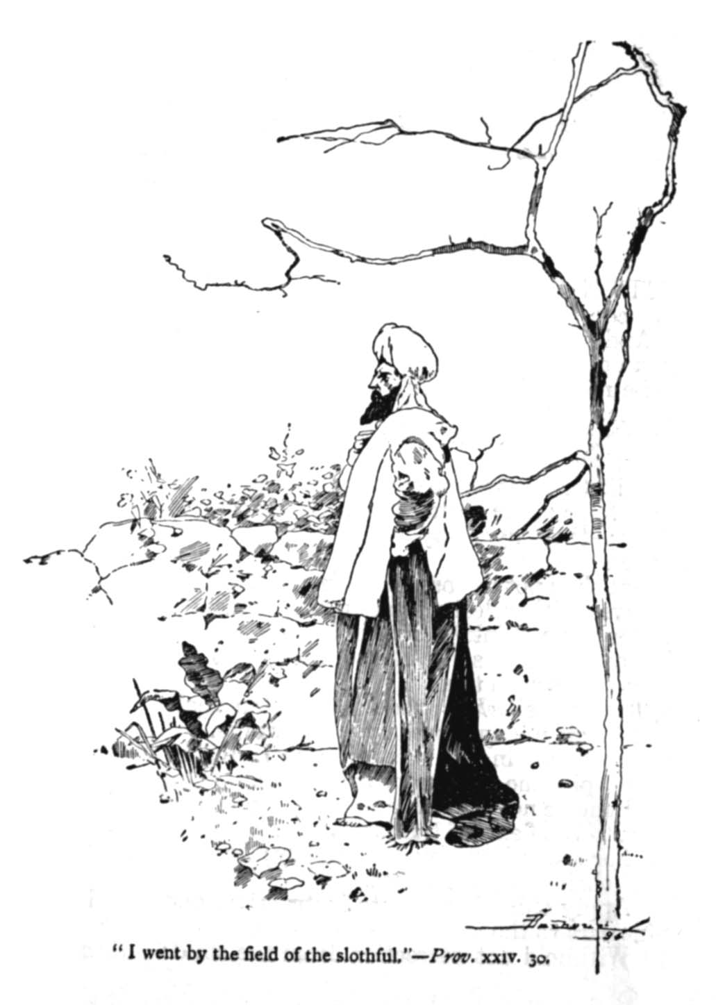 I went by the field of the slothful