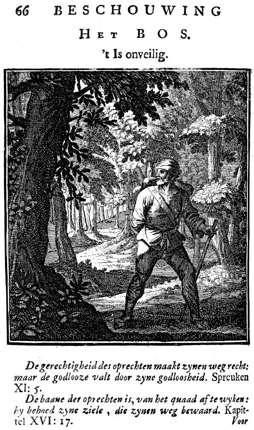 The Forest is Unsafe